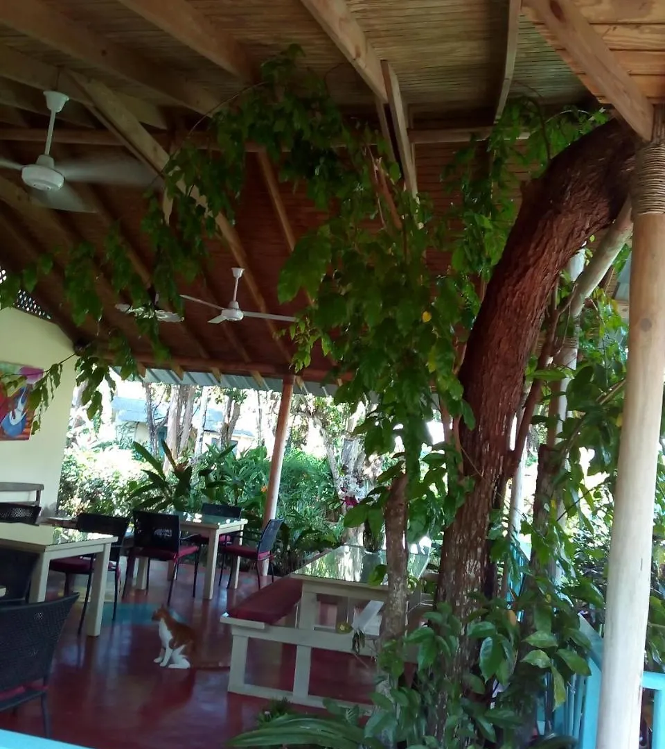 Iguana Hotel Dominican Republic